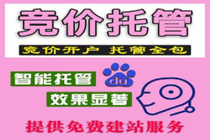 实战经验分享：百度竞价代运营公司案例剖析