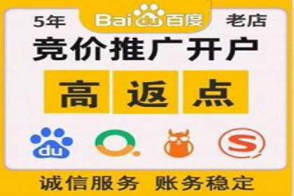 竞价开户推广案例市场分析